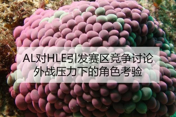 AL对HLE引发赛区竞争讨论 外战压力下的角色考验